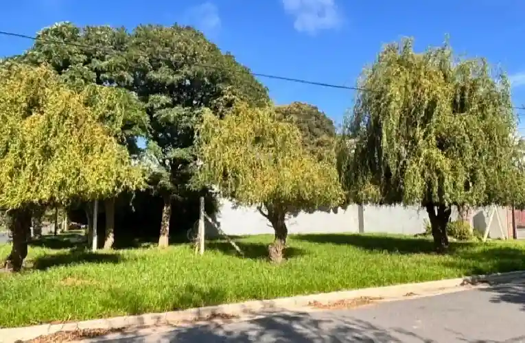 SANCHEZ MARSICO PROPIEDADES - LOTE- FRACCIóN