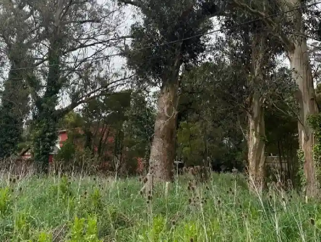 SANCHEZ MARSICO PROPIEDADES - LOTE- FRACCIóN