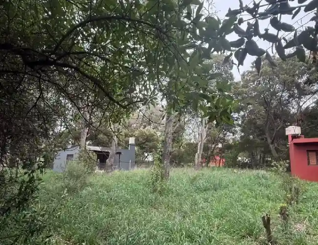 SANCHEZ MARSICO PROPIEDADES - LOTE- FRACCIóN